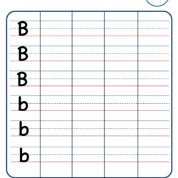 Kindergarten Letter Writing in Lines Worksheet - Letter B