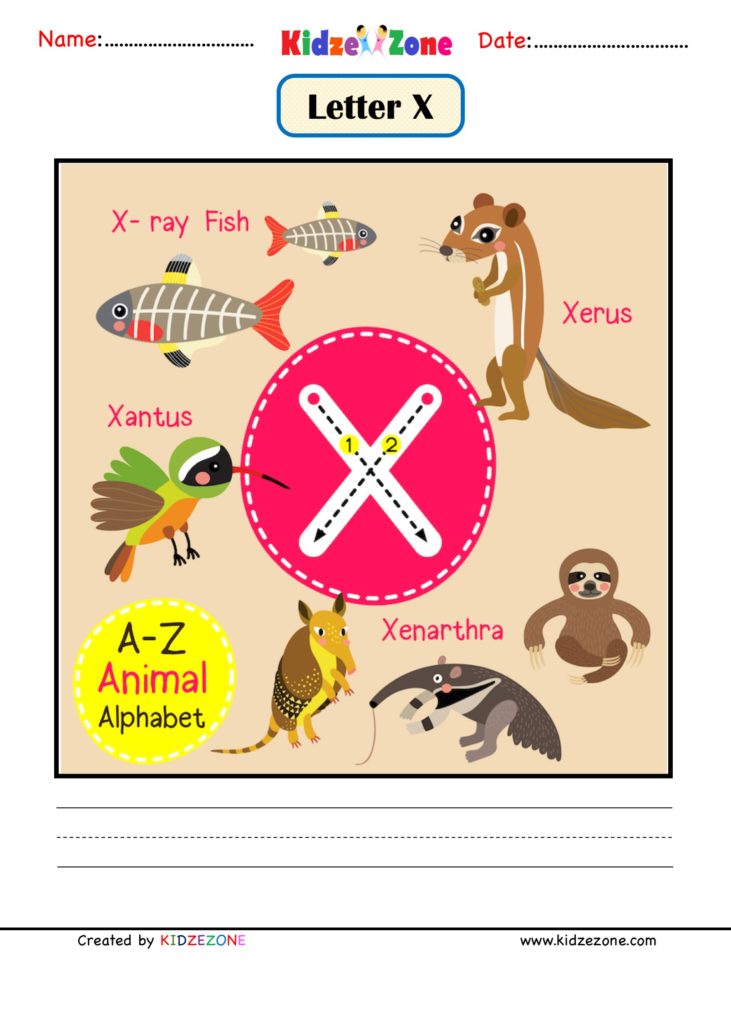 Kindergarten Letter X Picture Card worksheet