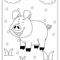Pig Coloring Page