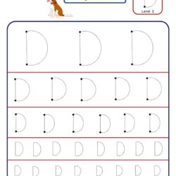 Pre Writing Letter D Tracing worksheet - Different Sizes
