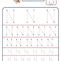 Pre Writing Letter N Tracing worksheet - Different Sizes