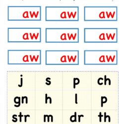 Kindergarten activity Worksheet : Aw word family cut and paste