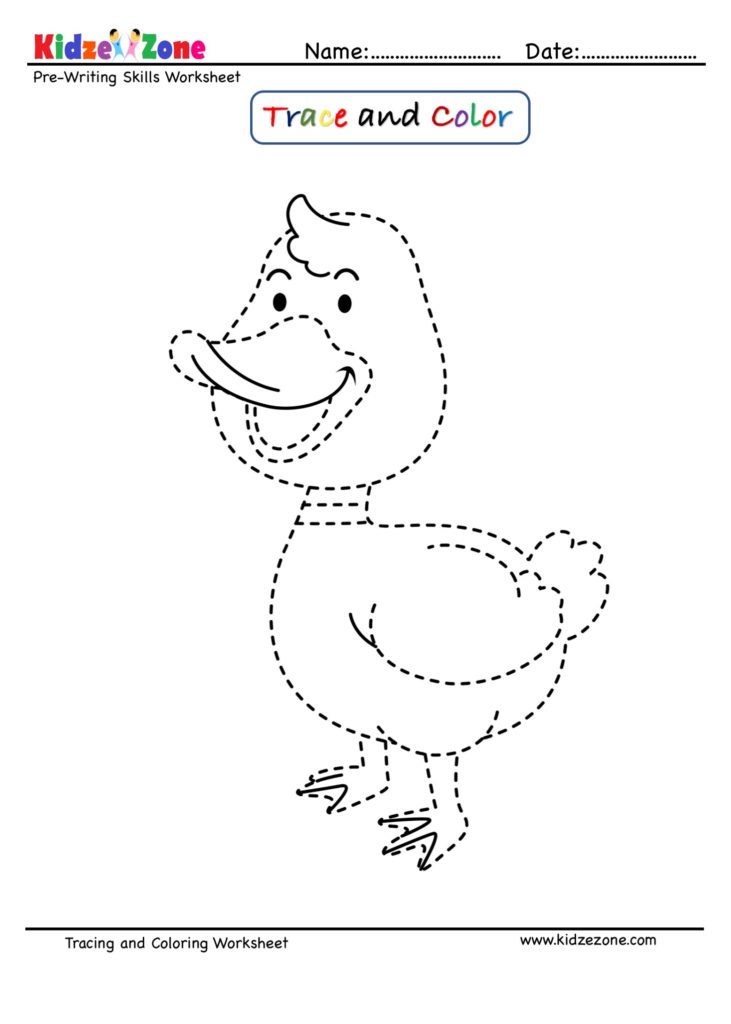 Duck Cartoon Trace and Color Worksheet : - KidzeZone