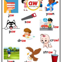 Kindergarten ap word family picture card worksheet
