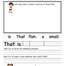 Unscramble the words to make a correct sentence with small fish