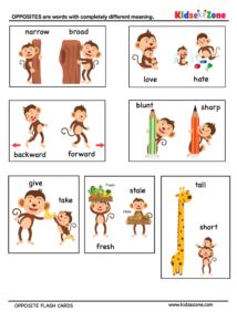 Find Opposite Fun Worksheet 2- KidzeZone