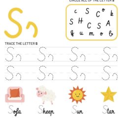 Letter S Tracking Worksheet. Learn words with letter S